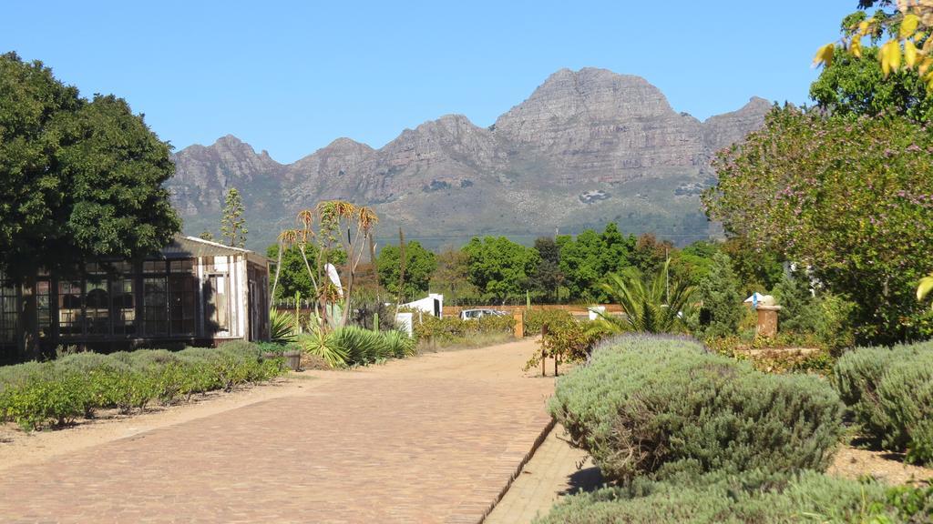 Apartamento De Oude Schuur Stellenbosch Habitación foto