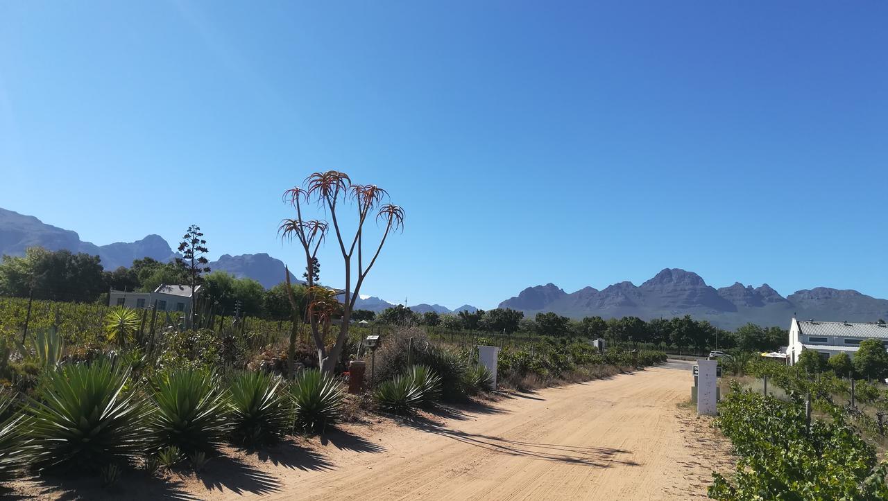 Apartamento De Oude Schuur Stellenbosch Exterior foto